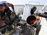 Pierre BAUDIER 2010-07-08 10-18-44